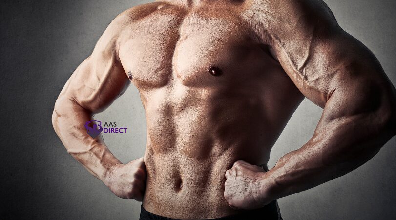 Methenolone Enanthate 100 and Post Cycle Therapy (PCT): What You Need to Know