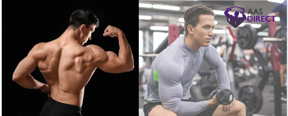 Optimizing Oxandrolone 10mg Dosage for Maximum Bodybuilding Results