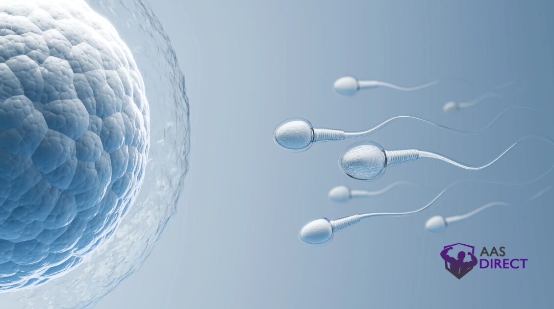 How Does HCG 5000 IU Improves Male Fertility and Sperm Quality?
