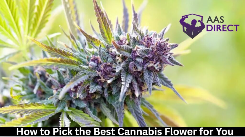 How to Pick the Best Cannabis Flower