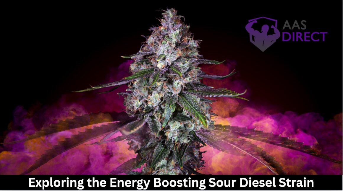 Exploring the Energy Boosting Sour Diesel Strain