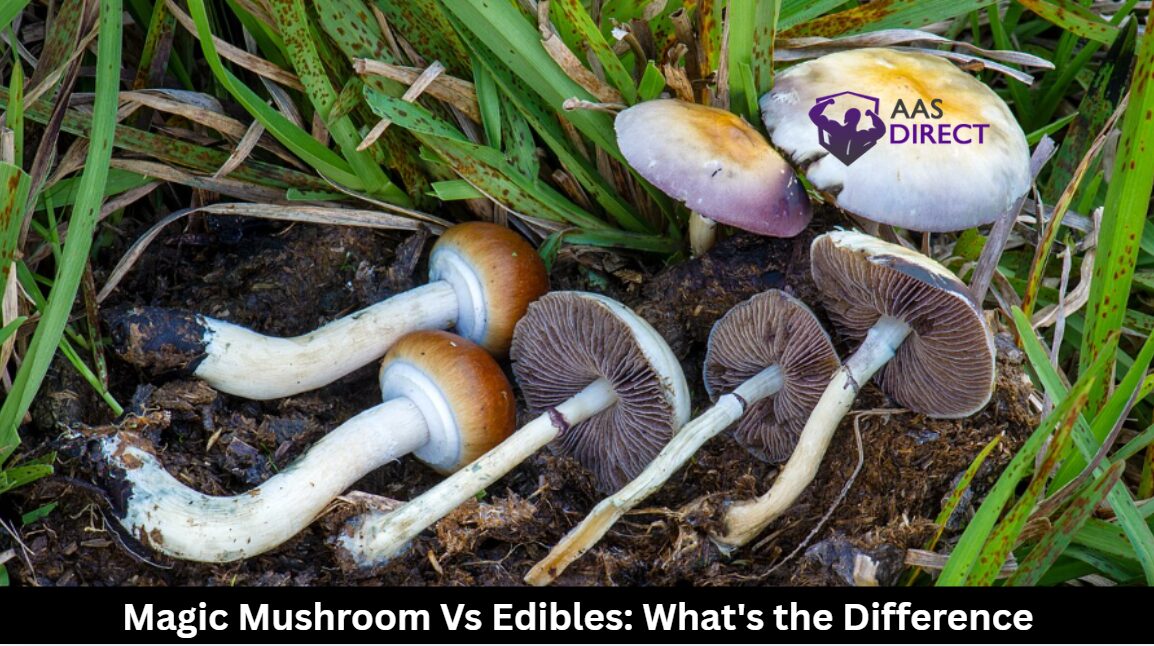 Magic Mushroom Vs Edibles: What’s the Difference