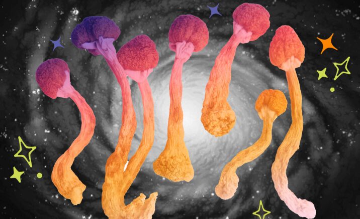 The Feeling of Euphoria From Magic Mushrooms Explained