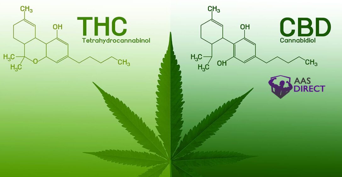THC and CBD