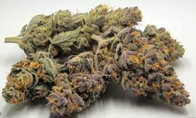 The Legendary Cannabis OG Kush Strain Variety Explained