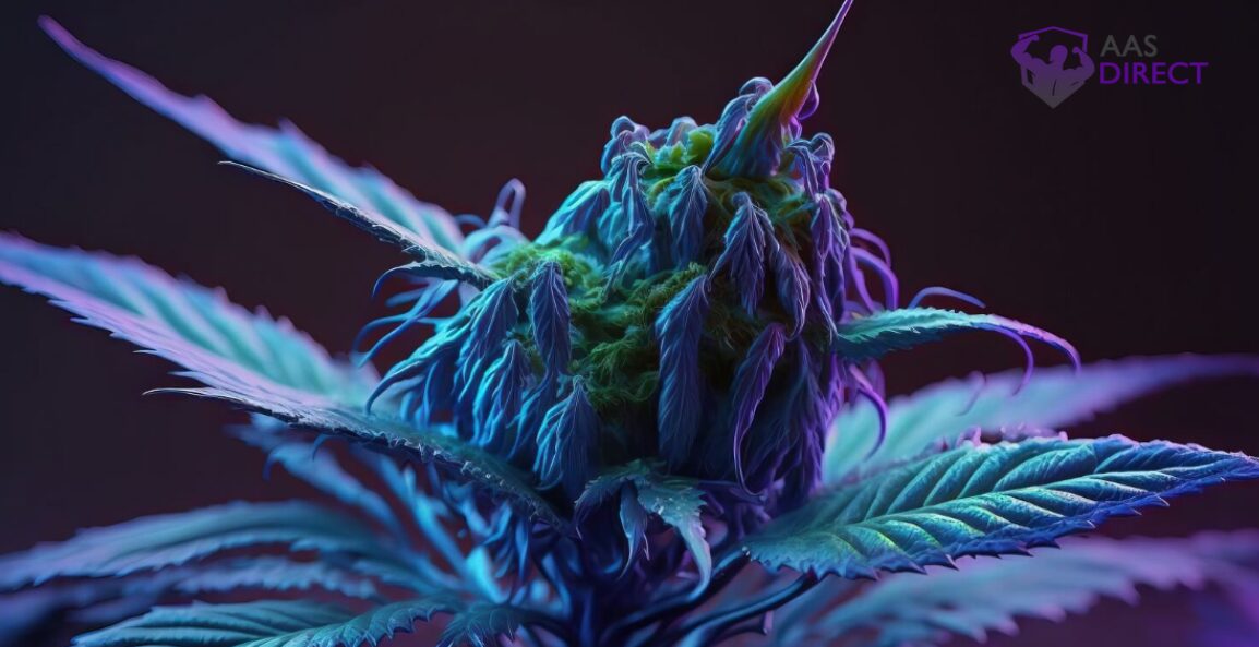 blue dream benefits