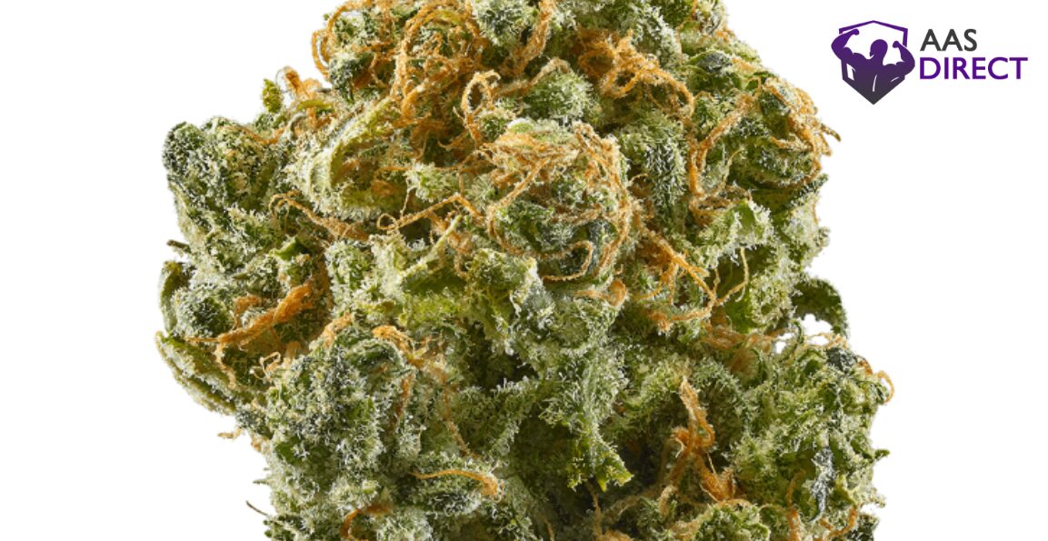 blue dream