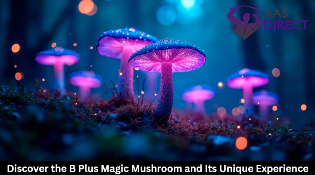 B Plus Magic Mushroom Unique Experience