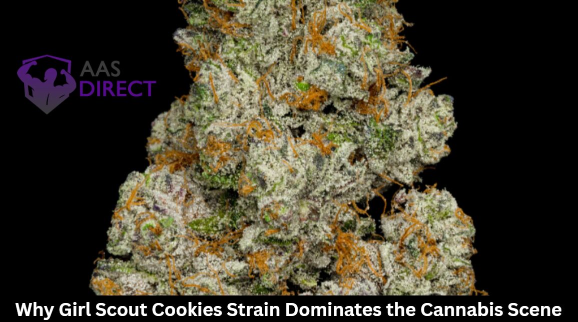 Why Girl Scout Cookies Strain Dominates the Cannabis Scene