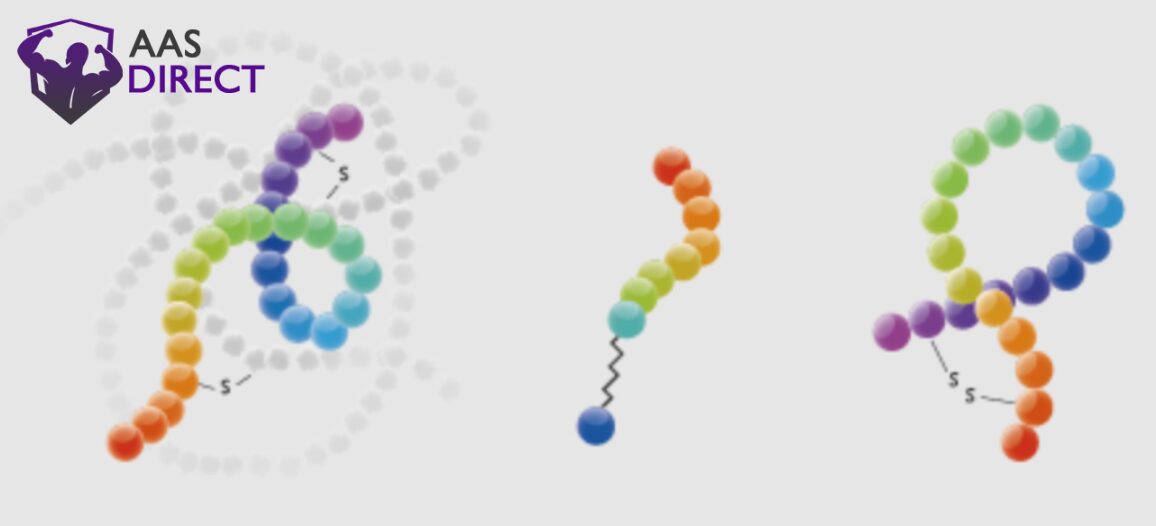 Custom Synthetic Peptides