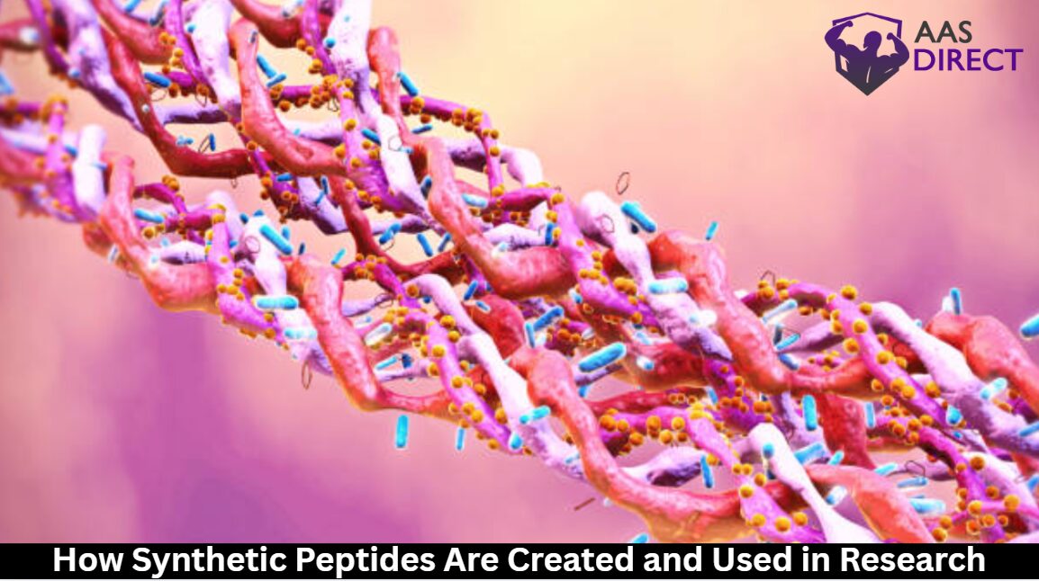 How Synthetic Peptides Are Created and Used in Research