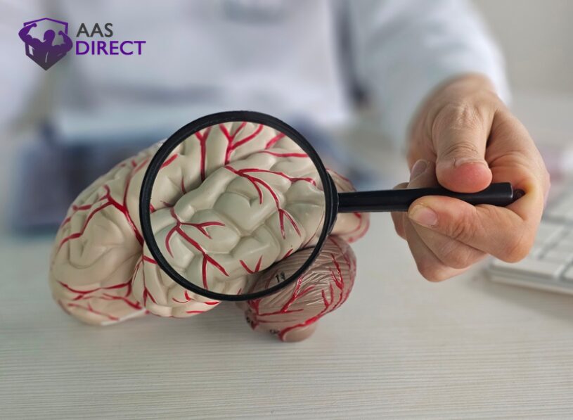 Key Neuroprotective Peptides