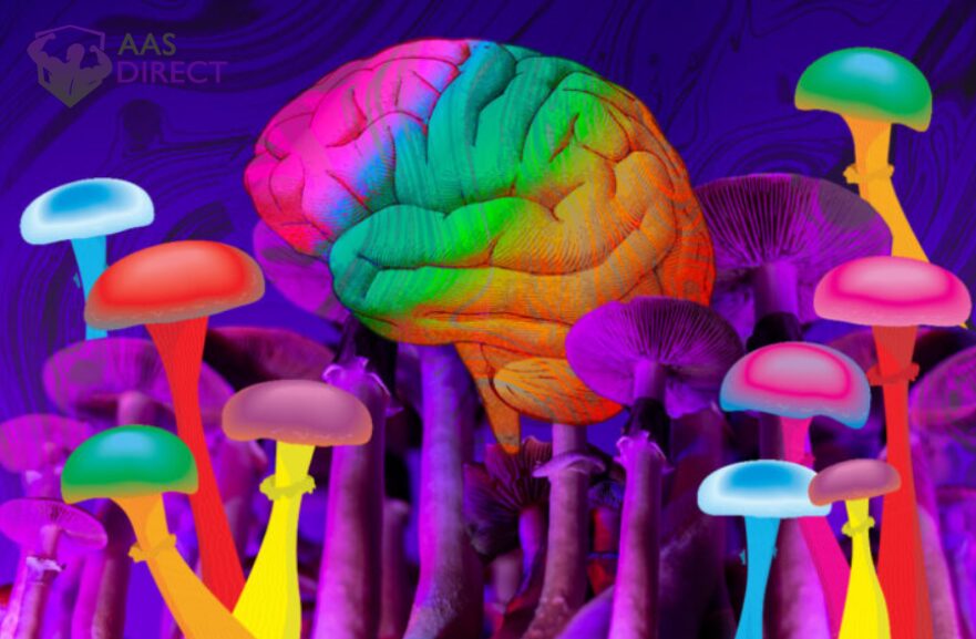 Magic Mushroom Effects