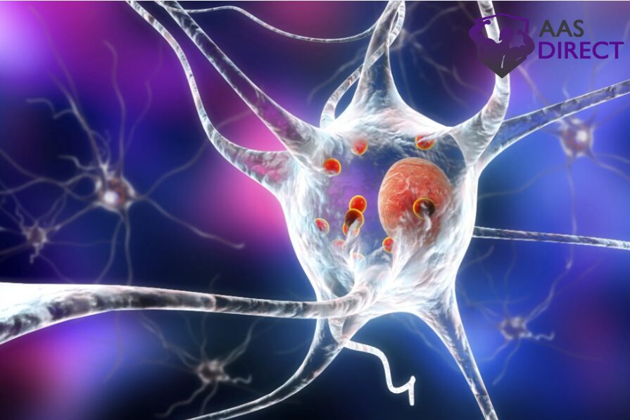 Neuroprotective Peptides