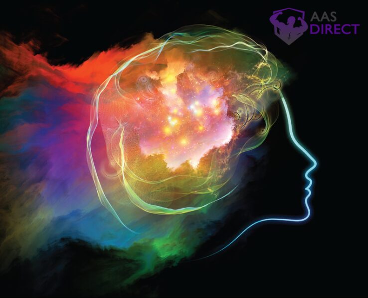 Spiritual Experiences In The Brain