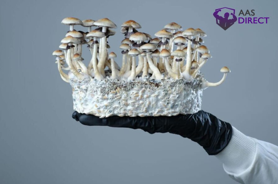 Too Much Magic Mushrooms