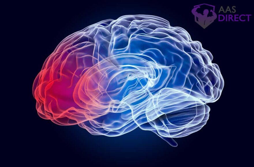 alzheimer's and parkinson's treatment