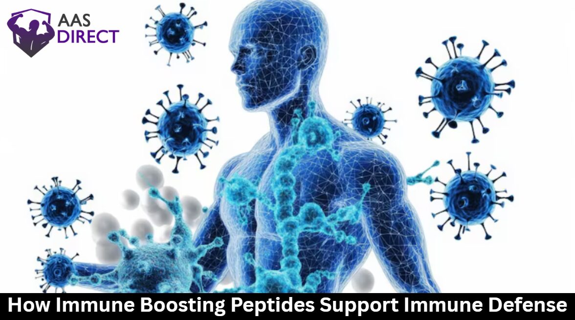 How Immune Boosting Peptides Support Immune Defense