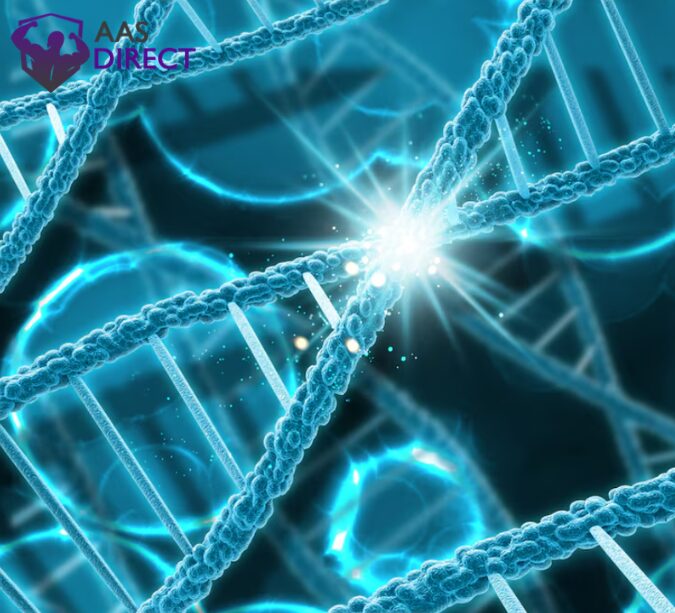 Peptide Bond Hard to Break