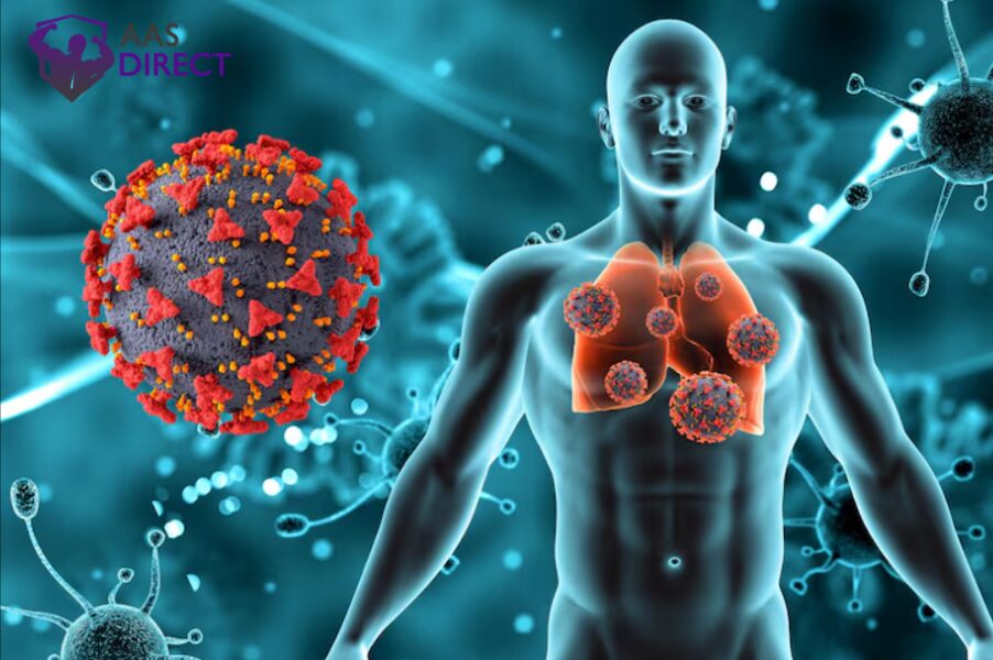 Peptides Strengthen Your Immune Response