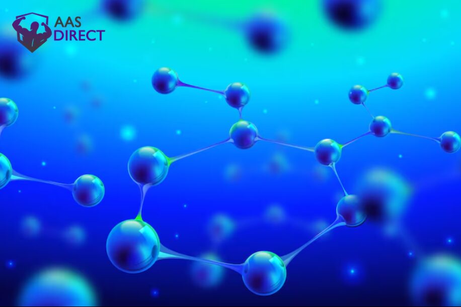 Two Amino Acids Join