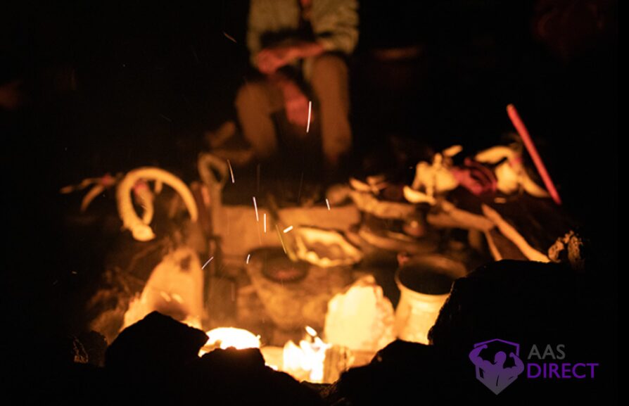 Heat Destroys Psilocybin